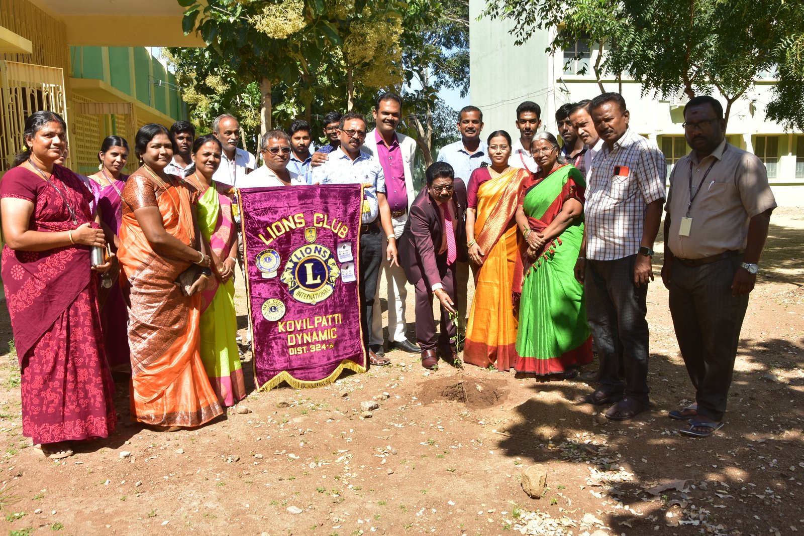 Tree Plantation 2