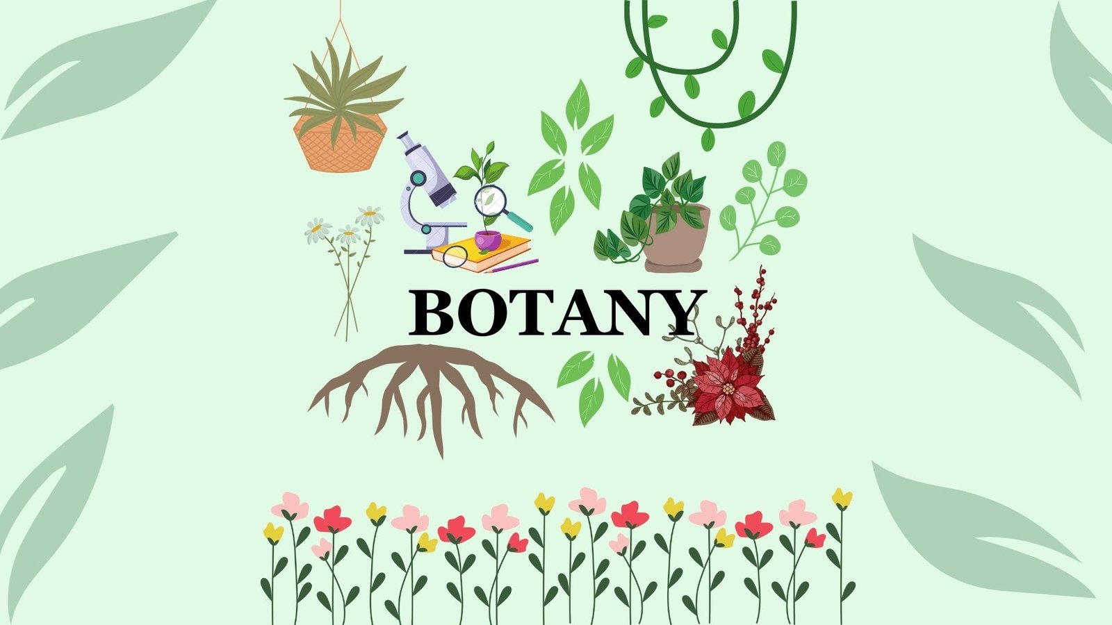 M.Sc Botany